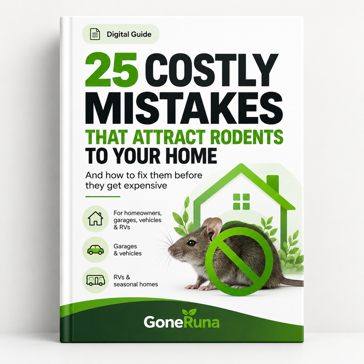 25 Costly Rodent Mistakes That Attract Rodents to Your Home